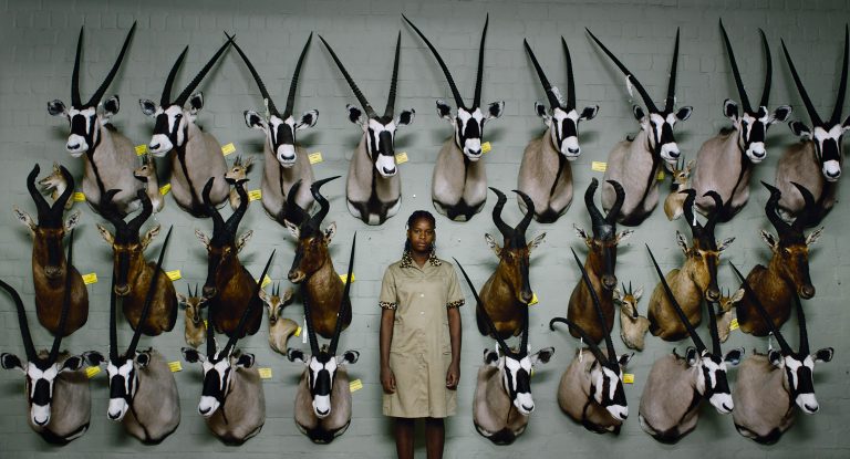 Retrospectiva TIFF la București începe azi. Programul complet!