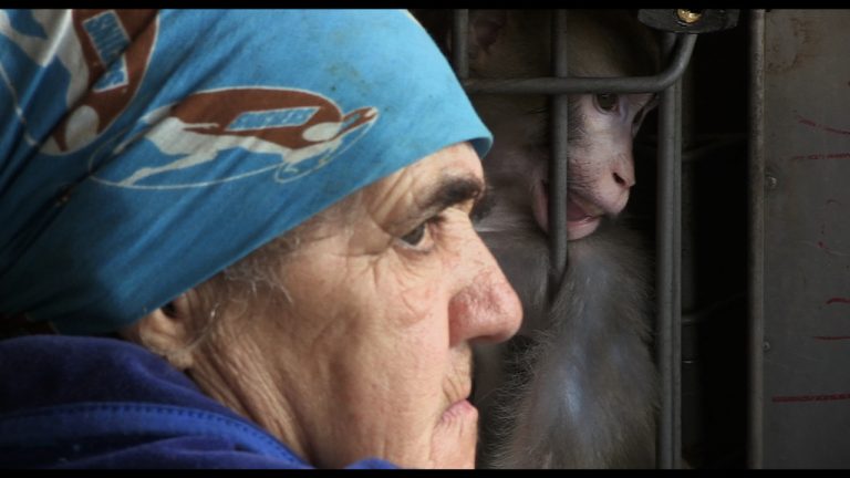 „Ouăle lui Tarzan” în competiție la Karlovy Vary