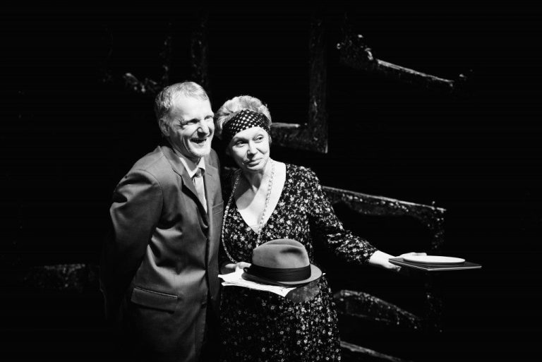 ARCUB. Idolul și Ion Anapoda, o nouă reprezentație